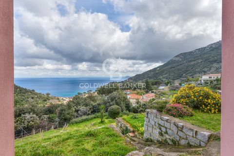 Villa a Marciana, Livorno, Marciana - € 740.000 | Ref: CBI123-1588-245 - foto 37