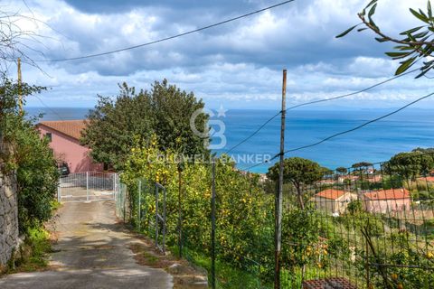 Villa a Marciana, Livorno, Marciana - € 740.000 | Ref: CBI123-1588-245 - foto 39