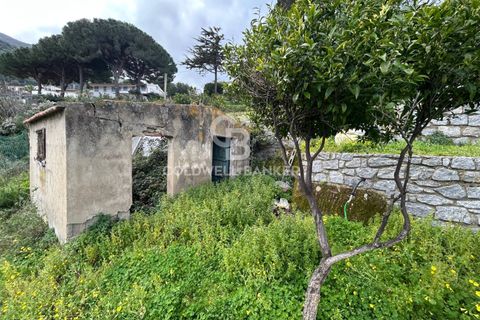Villa a Marciana, Livorno, Marciana - € 740.000 | Ref: CBI123-1588-245 - foto 40