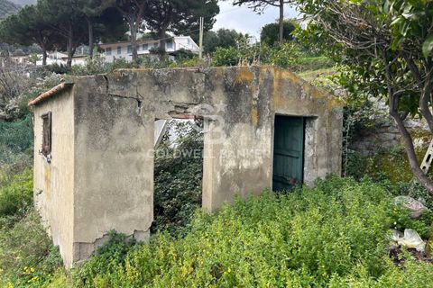 Villa a Marciana, Livorno, Marciana - € 740.000 | Ref: CBI123-1588-245 - foto 41