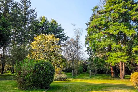 Terra a Le Mans, Sarthe, Le Mans - € 315.000 | Ref: 12399 - foto 2