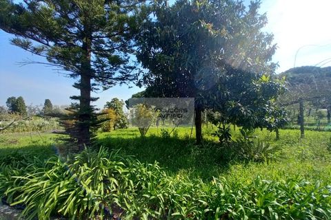 Farm i Eixo e Eirol, Aveiro, Eixo e Eirol - € 2.750.000 | Ref: 6820 - foto 8