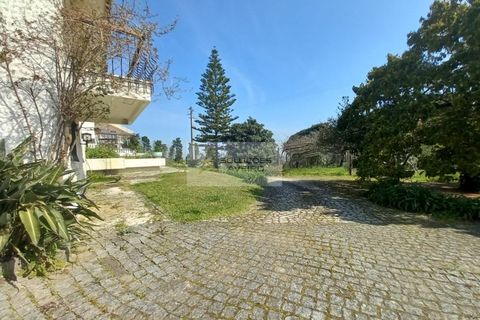 Farm i Eixo e Eirol, Aveiro, Eixo e Eirol - € 2.750.000 | Ref: 6820 - foto 10