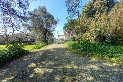 Farm i Eixo e Eirol, Aveiro, Eixo e Eirol - € 2.750.000 | Ref: 6820 - foto 11