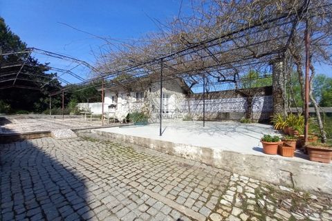 Farm i Eixo e Eirol, Aveiro, Eixo e Eirol - € 2.750.000 | Ref: 6820 - foto 12