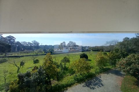 Farm i Eixo e Eirol, Aveiro, Eixo e Eirol - € 2.750.000 | Ref: 6820 - foto 15