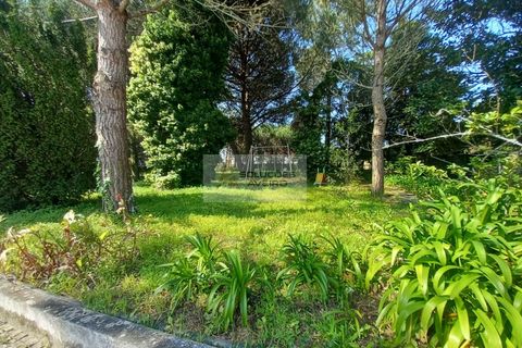 Farm i Eixo e Eirol, Aveiro, Eixo e Eirol - € 2.750.000 | Ref: 6820 - foto 16