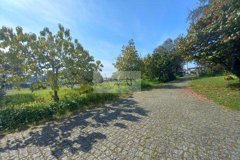 Farm i Eixo e Eirol, Aveiro, Eixo e Eirol - € 2.750.000 | Ref: 6820 - foto 19