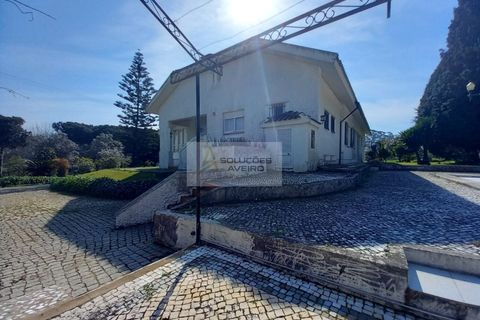 Farm i Eixo e Eirol, Aveiro, Eixo e Eirol - € 2.750.000 | Ref: 6820 - foto 20