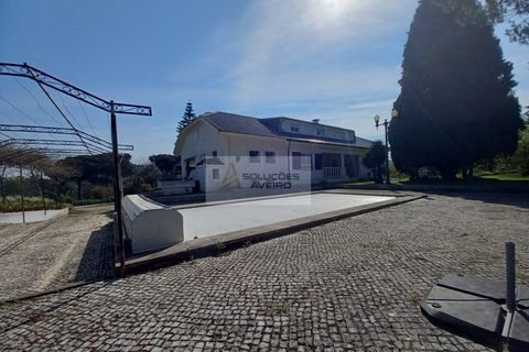 Farm i Eixo e Eirol, Aveiro, Eixo e Eirol - € 2.750.000 | Ref: 6820 - foto 47