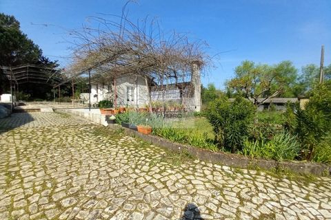 Farm i Eixo e Eirol, Aveiro, Eixo e Eirol - € 2.750.000 | Ref: 6820 - foto 50