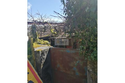 Landejendom i Talhadas, Aveiro, Talhadas - € 30.000 | Ref: 6806 - foto 3