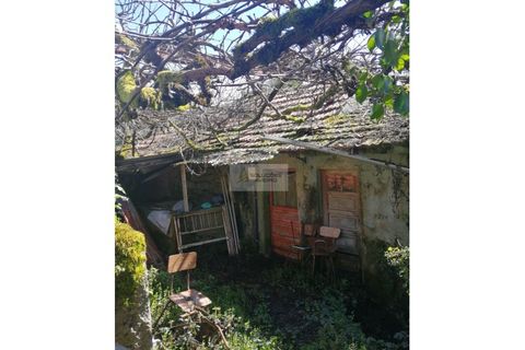 Landejendom i Talhadas, Aveiro, Talhadas - € 30.000 | Ref: 6806 - foto 4