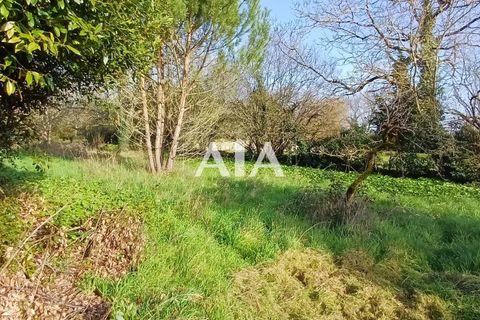 Terra a Barro, Charente, Barro - € 18.000 | Ref: 1313 - foto 7