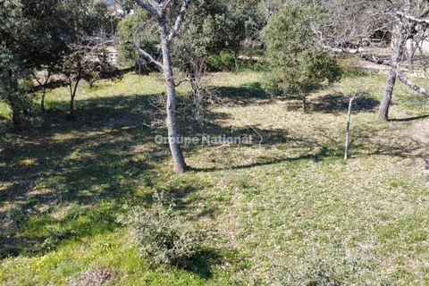 Terra a Saint-Didier, Vaucluse, Saint-Didier - € 138.500 | Ref: PV 467 - foto 2