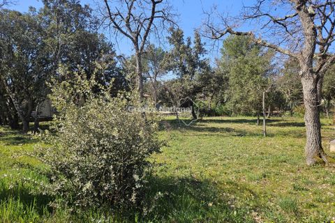 Terra a Saint-Didier, Vaucluse, Saint-Didier - € 138.500 | Ref: PV 467 - foto 3