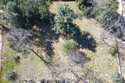 Terra a Saint-Didier, Vaucluse, Saint-Didier - € 138.500 | Ref: PV 467 - foto 4
