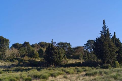 Helårsgrund i Limoux, Aude, Limoux - € 55.000 | Ref: 9337-B - foto 3