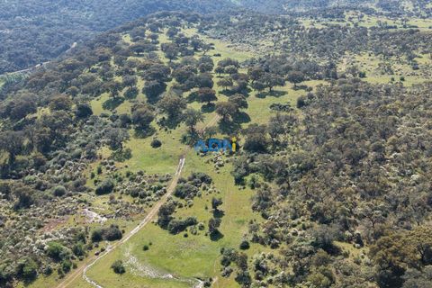 Helårsgrund i Escalos de Cima e Lousa, Castelo Branco, Escalos de Cima e Lousa - € 25.000 | Ref: 126003 - foto 3