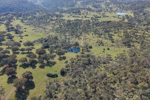Helårsgrund i Escalos de Cima e Lousa, Castelo Branco, Escalos de Cima e Lousa - € 25.000 | Ref: 126003 - foto 5