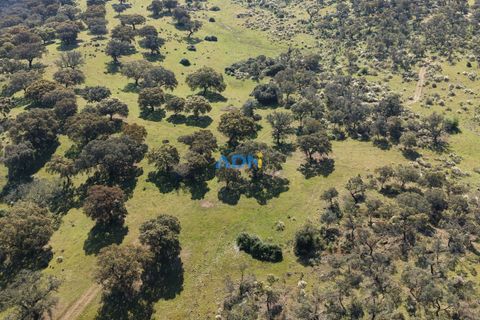 Helårsgrund i Escalos de Cima e Lousa, Castelo Branco, Escalos de Cima e Lousa - € 25.000 | Ref: 126003 - foto 7