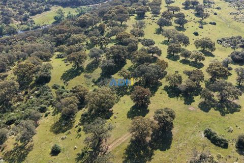 Helårsgrund i Escalos de Cima e Lousa, Castelo Branco, Escalos de Cima e Lousa - € 25.000 | Ref: 126003 - foto 8
