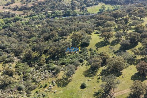 Helårsgrund i Escalos de Cima e Lousa, Castelo Branco, Escalos de Cima e Lousa - € 25.000 | Ref: 126003 - foto 9