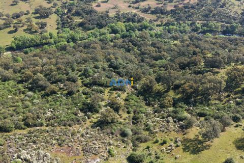 Helårsgrund i Escalos de Cima e Lousa, Castelo Branco, Escalos de Cima e Lousa - € 25.000 | Ref: 126003 - foto 10