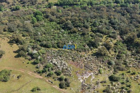 Helårsgrund i Escalos de Cima e Lousa, Castelo Branco, Escalos de Cima e Lousa - € 25.000 | Ref: 126003 - foto 11