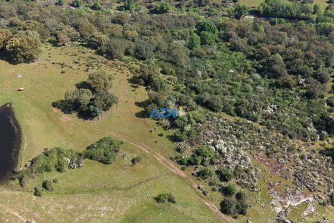 Helårsgrund i Escalos de Cima e Lousa, Castelo Branco, Escalos de Cima e Lousa - € 25.000 | Ref: 126003 - foto 12