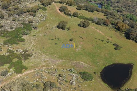 Helårsgrund i Escalos de Cima e Lousa, Castelo Branco, Escalos de Cima e Lousa - € 25.000 | Ref: 126003 - foto 14