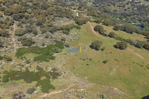 Helårsgrund i Escalos de Cima e Lousa, Castelo Branco, Escalos de Cima e Lousa - € 25.000 | Ref: 126003 - foto 15