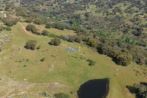 Helårsgrund i Escalos de Cima e Lousa, Castelo Branco, Escalos de Cima e Lousa - € 25.000 | Ref: 126003 - foto 16