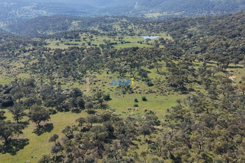 Helårsgrund i Escalos de Cima e Lousa, Castelo Branco, Escalos de Cima e Lousa - € 25.000 | Ref: 126003 - foto 18