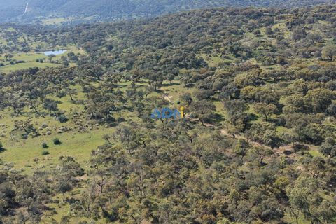 Helårsgrund i Escalos de Cima e Lousa, Castelo Branco, Escalos de Cima e Lousa - € 25.000 | Ref: 126003 - foto 19