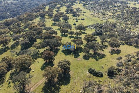 Helårsgrund i Escalos de Cima e Lousa, Castelo Branco, Escalos de Cima e Lousa - € 25.000 | Ref: 126003 - foto 20