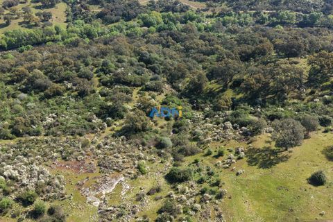 Helårsgrund i Escalos de Cima e Lousa, Castelo Branco, Escalos de Cima e Lousa - € 25.000 | Ref: 126003 - foto 22