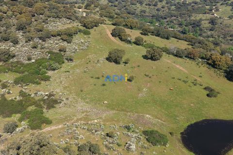 Helårsgrund i Escalos de Cima e Lousa, Castelo Branco, Escalos de Cima e Lousa - € 25.000 | Ref: 126003 - foto 23