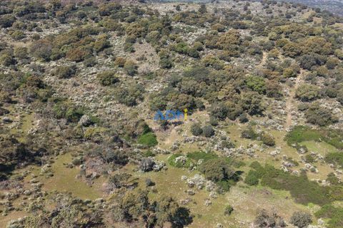 Helårsgrund i Escalos de Cima e Lousa, Castelo Branco, Escalos de Cima e Lousa - € 25.000 | Ref: 126003 - foto 24