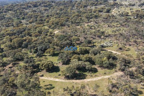 Helårsgrund i Escalos de Cima e Lousa, Castelo Branco, Escalos de Cima e Lousa - € 25.000 | Ref: 126003 - foto 25