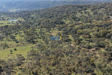 Helårsgrund i Escalos de Cima e Lousa, Castelo Branco, Escalos de Cima e Lousa - € 25.000 | Ref: 126003 - foto 26