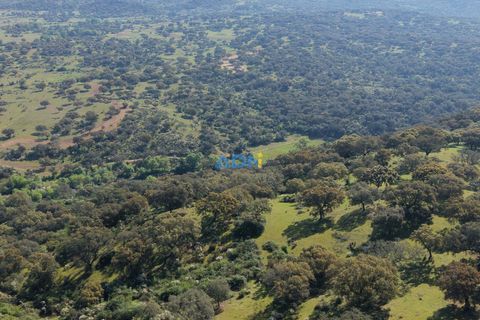 Helårsgrund i Escalos de Cima e Lousa, Castelo Branco, Escalos de Cima e Lousa - € 25.000 | Ref: 126003 - foto 29