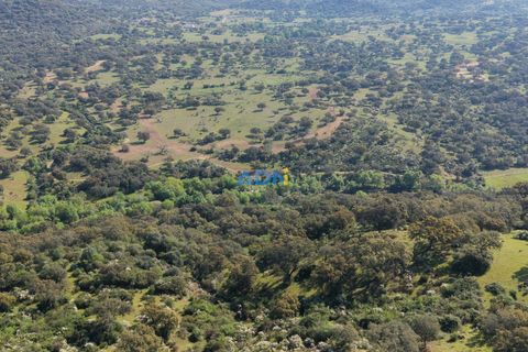 Helårsgrund i Escalos de Cima e Lousa, Castelo Branco, Escalos de Cima e Lousa - € 25.000 | Ref: 126003 - foto 30