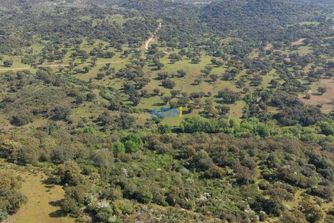 Helårsgrund i Escalos de Cima e Lousa, Castelo Branco, Escalos de Cima e Lousa - € 25.000 | Ref: 126003 - foto 31