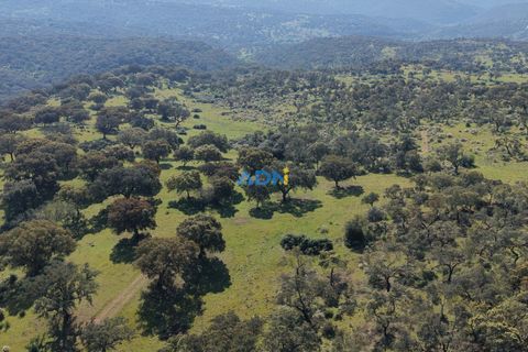 Helårsgrund i Escalos de Cima e Lousa, Castelo Branco, Escalos de Cima e Lousa - € 25.000 | Ref: 126003 - foto 32
