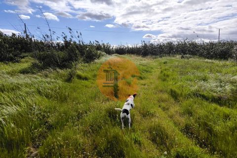 Helårsgrund i Castro Marim, Faro, Castro Marim - € 250.000 | Ref: SU-CS-TURB-94085 - foto 8