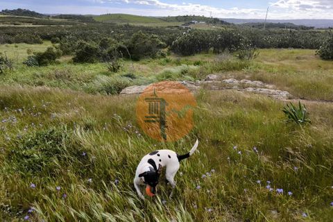 Helårsgrund i Castro Marim, Faro, Castro Marim - € 250.000 | Ref: SU-CS-TU-94085 - foto 15