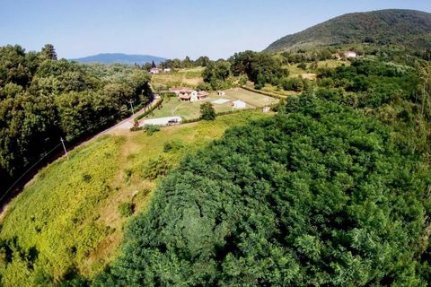 Villa a Lucca, Lucca, Lucca - € 1.590.000 | Ref: 5287 - foto 31