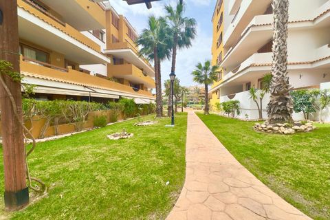 Leilighet i Torrevieja, Alicante, Torrevieja - € 330 000 | Ref: 772159 - foto 29