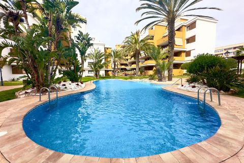 Leilighet i Torrevieja, Alicante, Torrevieja - € 330 000 | Ref: 772159 - foto 31